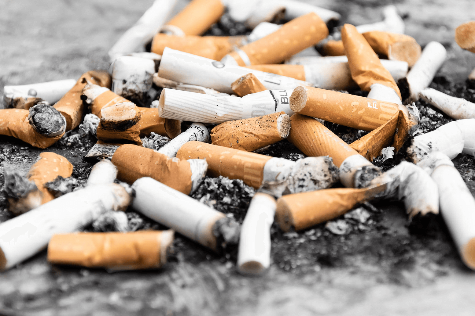 A pile of extinguished cigarette butts laying on the ground