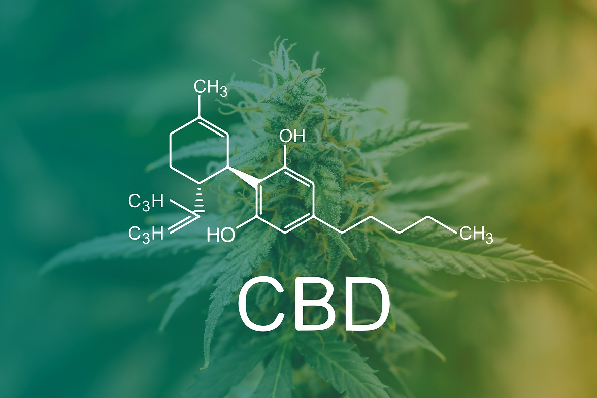 Chemical formula for CBD and cannabis plant in the background